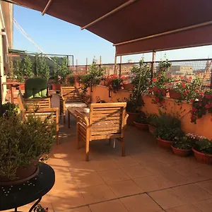 https://la-terrazza-di-evelina-guest-house-rome.it-romehotels.com